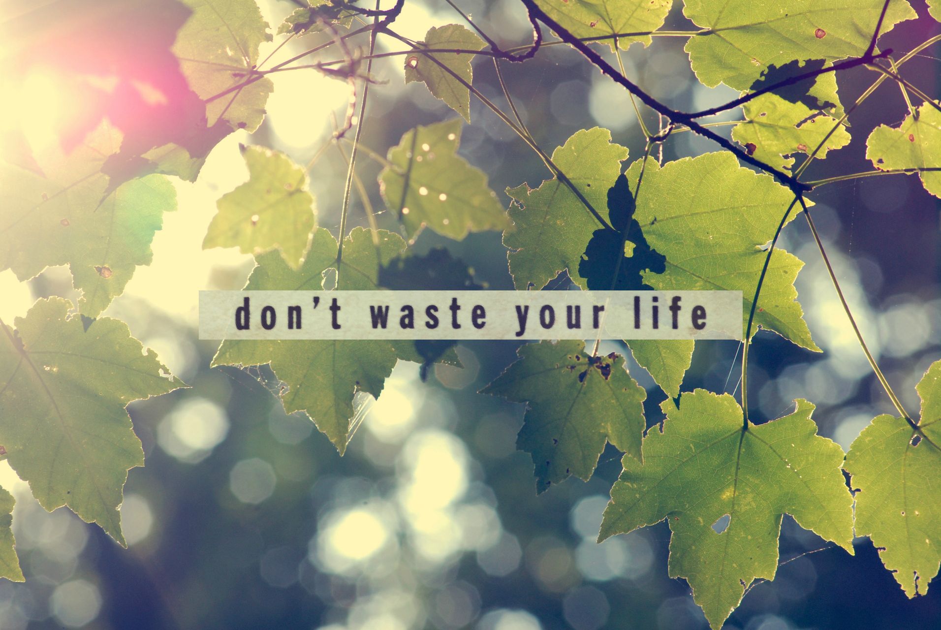 1920 x 1080 HD Wallpapers 2021